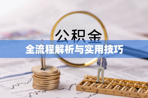 南丰全流程解析与实用技巧