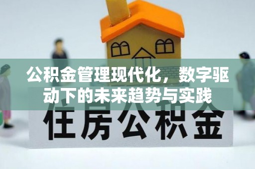 南丰公积金管理现代化，数字驱动下的未来趋势与实践