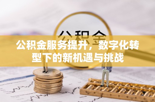南丰公积金服务提升，数字化转型下的新机遇与挑战