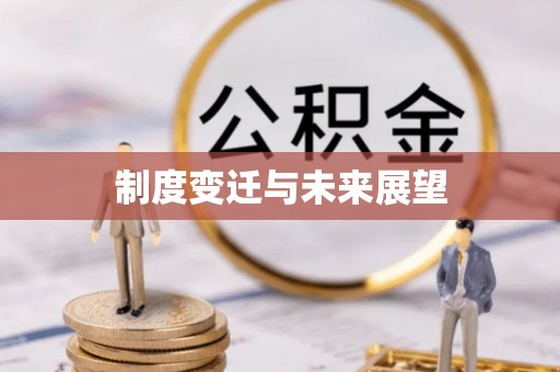 南丰制度变迁与未来展望