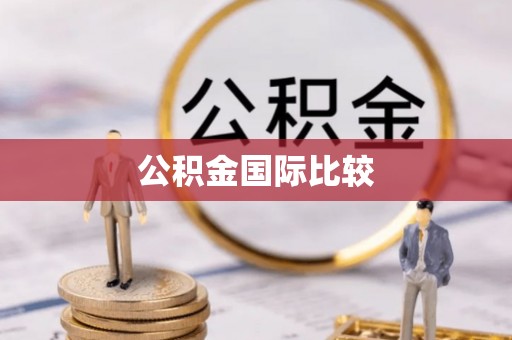 南丰公积金国际比较