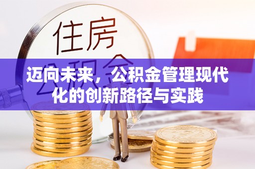 南丰迈向未来，公积金管理现代化的创新路径与实践