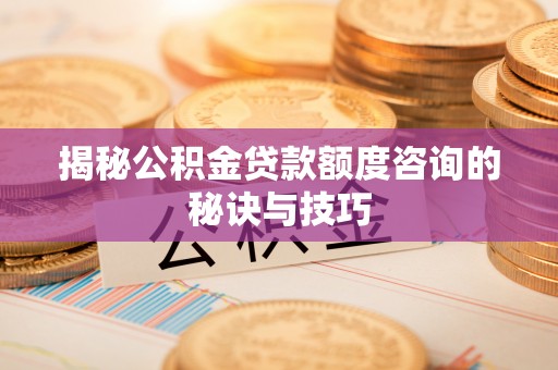 南丰揭秘公积金贷款额度咨询的秘诀与技巧