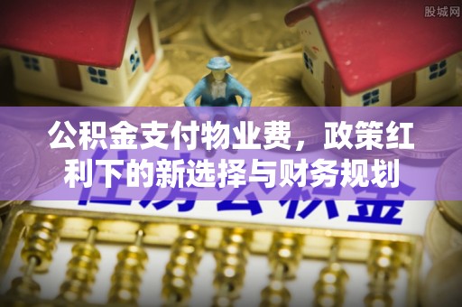 南丰公积金支付物业费，政策红利下的新选择与财务规划