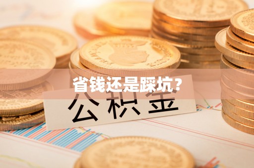 南丰省钱还是踩坑？