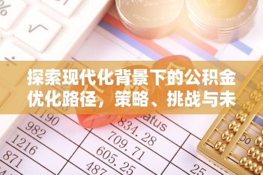 南丰探索现代化背景下的公积金优化路径，策略、挑战与未来展望