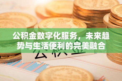 南丰公积金数字化服务，未来趋势与生活便利的完美融合