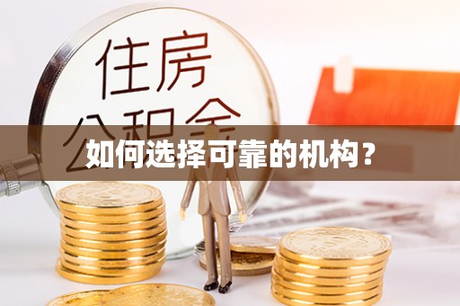 南丰如何选择可靠的机构？