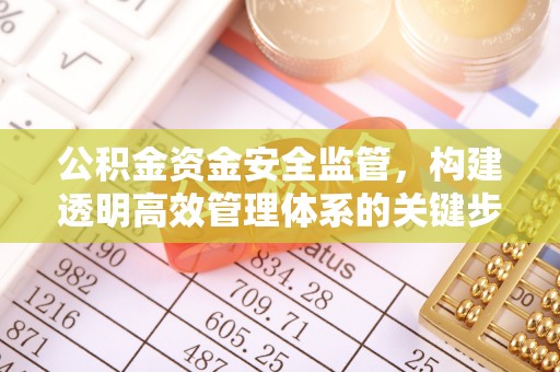 南丰公积金资金安全监管，构建透明高效管理体系的关键步骤