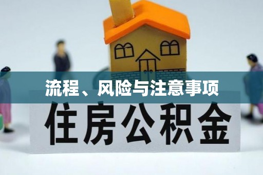 南丰流程、风险与注意事项